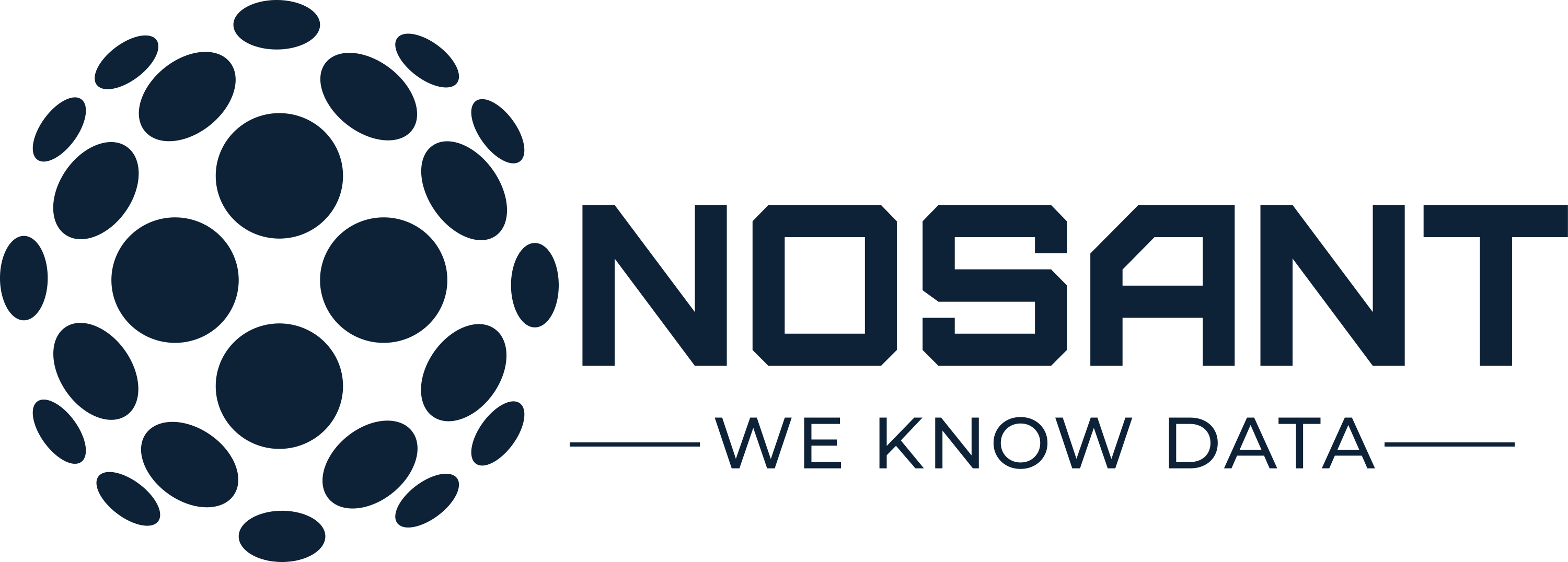 Nosant Technologies Logo - AI and Data Science Solutions